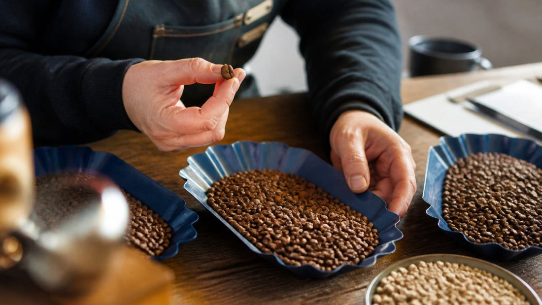 How to Identify High Quality Coffee Beans